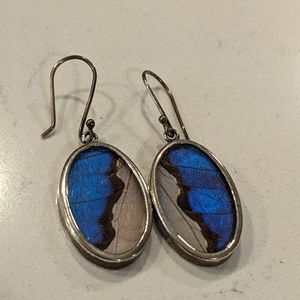 Butterfly Wing Dangle Earrings